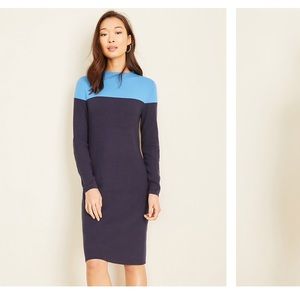 Navy and blue mock neck sweater dress